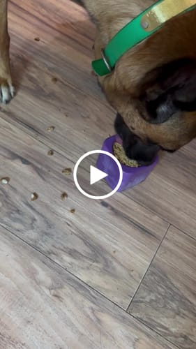 Customer video review of Freezball - Durable Fillable Dog Chew Bone