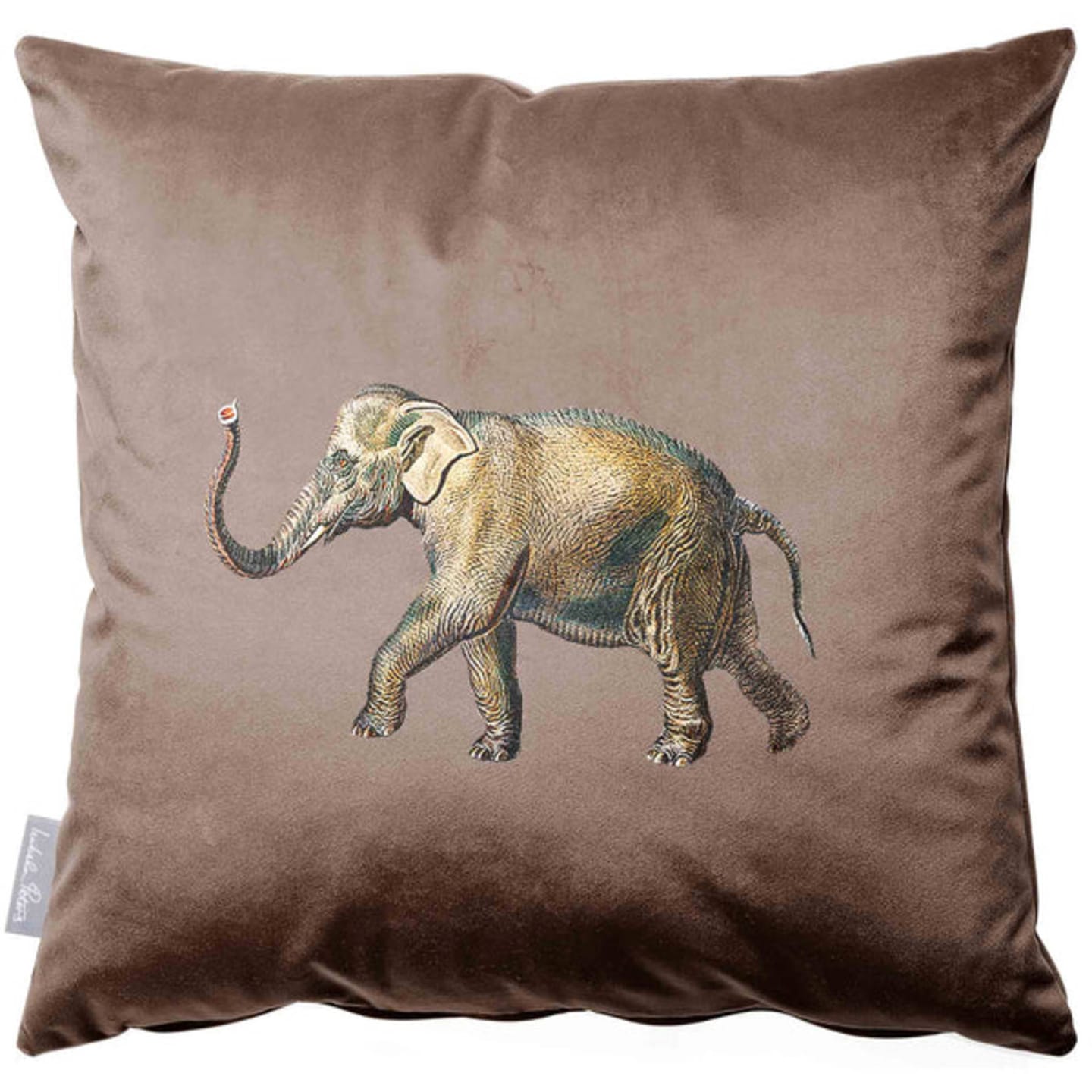 Customer photo review of Elephant | Sustainable Velvet Cushion