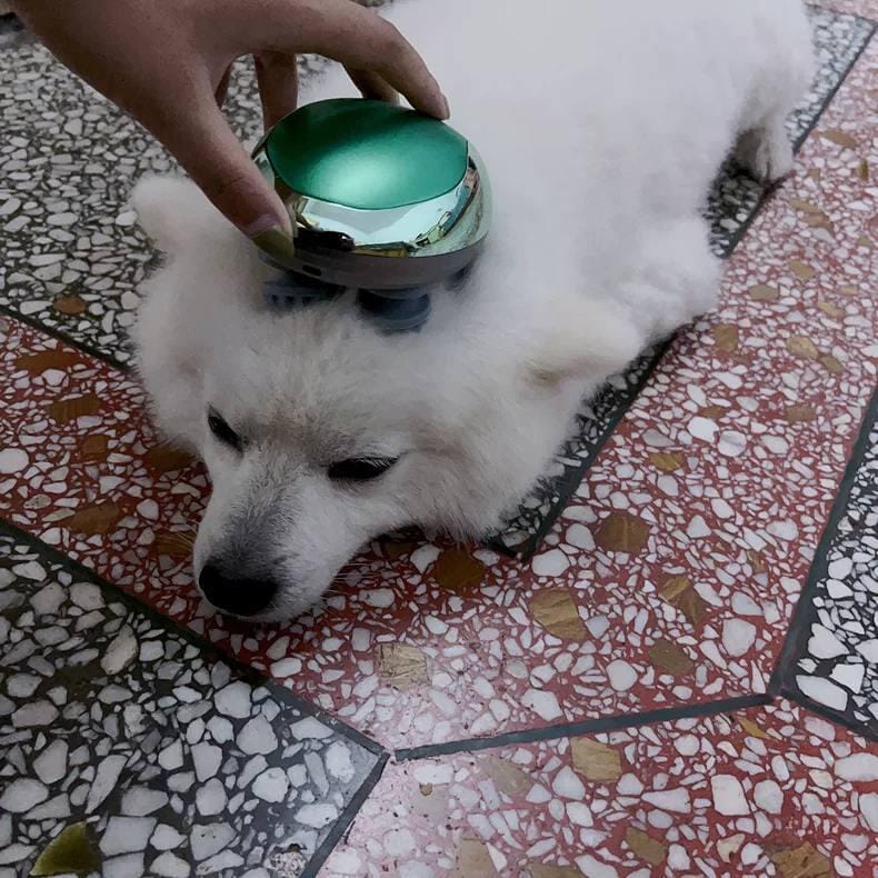 Customer photo review of Viva Comfort Rotation Spa Relaxation Massager For Dogs and Cats