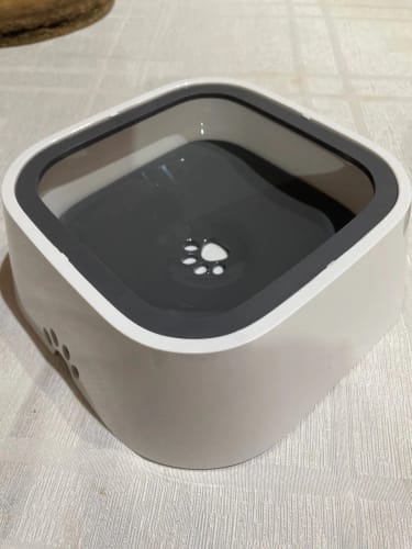 Customer photo review of Vixinx AquaBuddy™ - Anti-spill water bowl