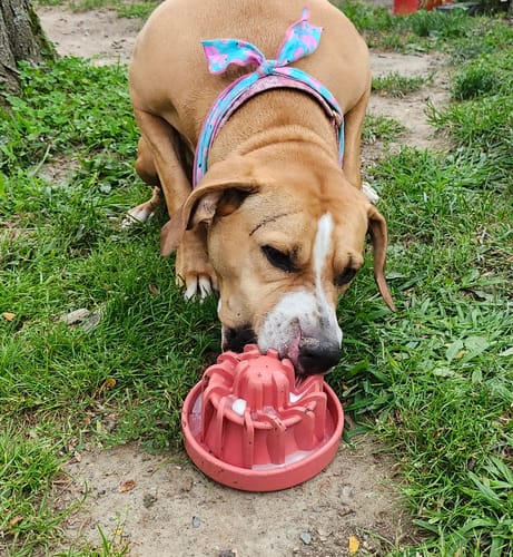 Customer photo review of Peanut Butter 45 Grams (4 Pack)®