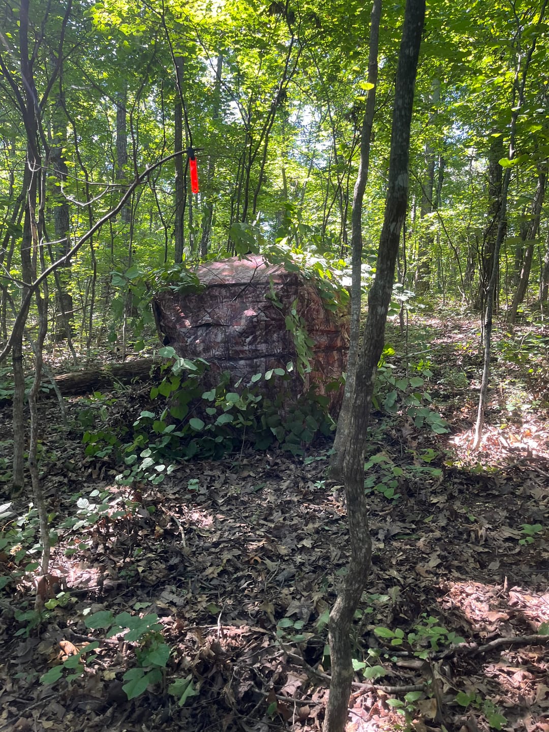 Customer photo review of Hunting Blind 270°See Through with Silent Magnetic Door & Sliding Windows, 2-3 Person Pop Up Ground Blind with Carrying Bag, Portable Durable Hunting Tent for Deer & Turkey Hunting(Camouflage)