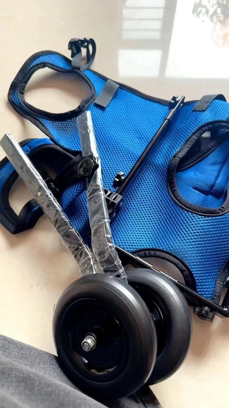 Customer photo review of Comfort Dog Wheelchair - Rediscover Mobility