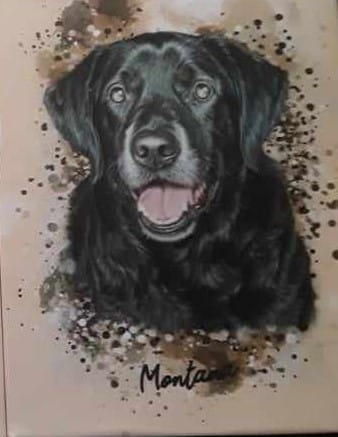 Customer photo review of Personalized Pet Art - Canvas