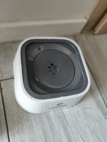 Customer photo review of Vixinx AquaBuddy™ - Anti-spill water bowl