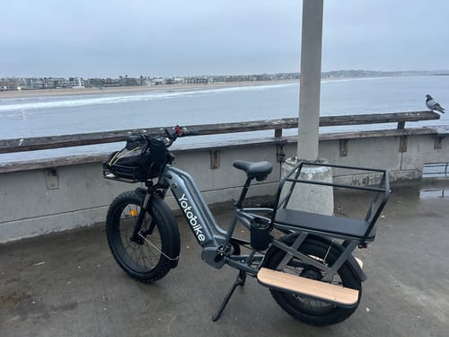 Customer photo review of Yoto Lion Max Family Cargo Ebike
