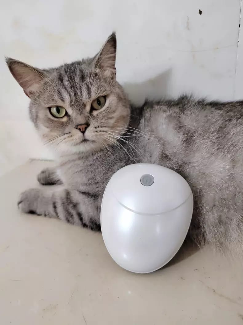 Customer photo review of Viva Comfort Rotation Spa Relaxation Massager For Dogs and Cats