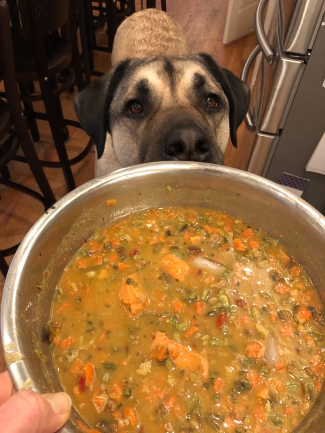 Customer photo review of Natural Dog Food Samples