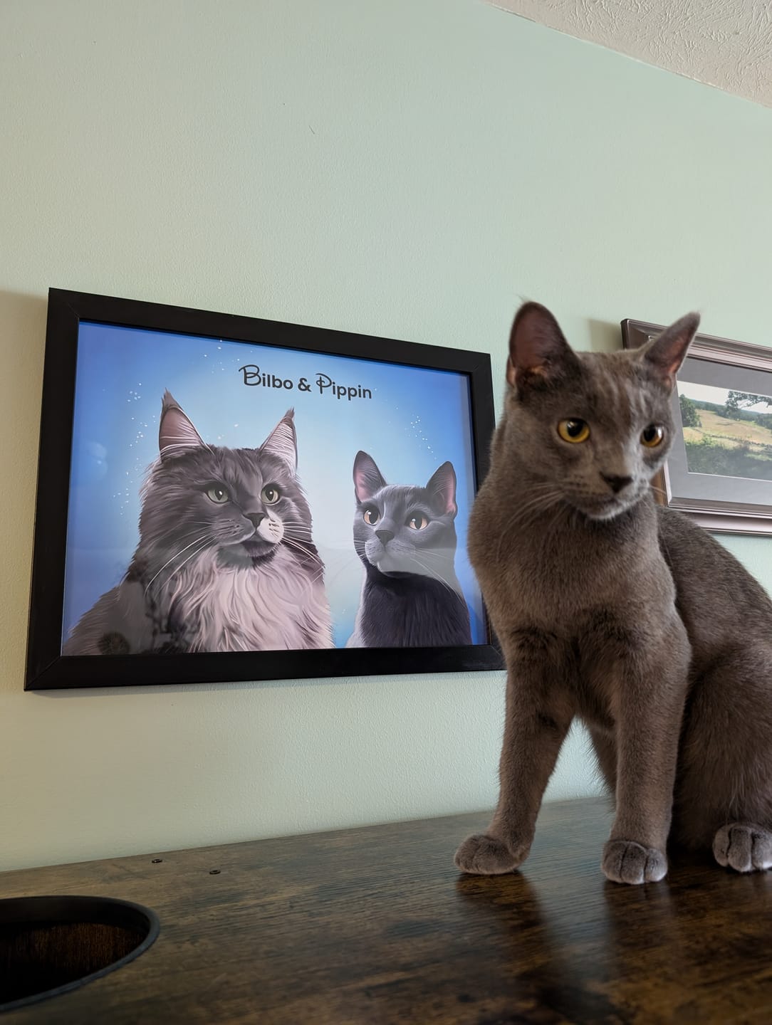 Customer photo review of Cartoon Warm Woodland Poster