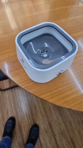 Customer photo review of Vixinx AquaBuddy™ - Anti-spill water bowl