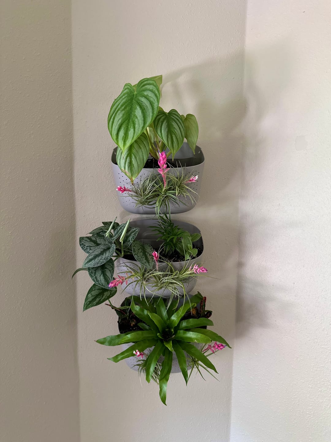 Customer photo review of Eco Stone Wall Planter