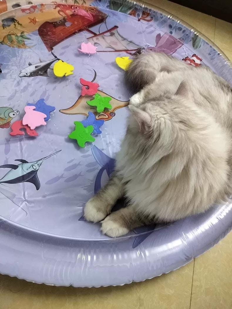 Customer photo review of Upgraded Thickness Pet Cooling Water Bed