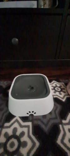 Customer photo review of Vixinx AquaBuddy™ - Anti-spill water bowl