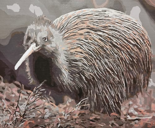 Customer photo review of Little Brown Kiwi