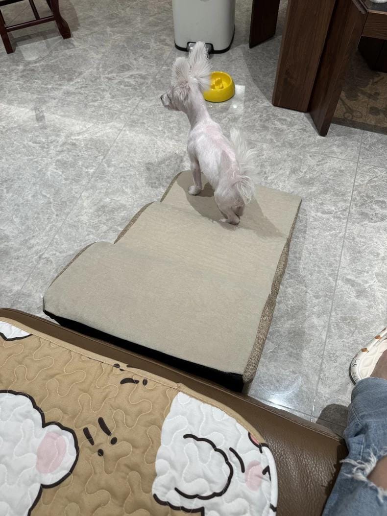 Customer photo review of Soft Chenille Dog Stairs with Non-Slip Ramp for Small Pets