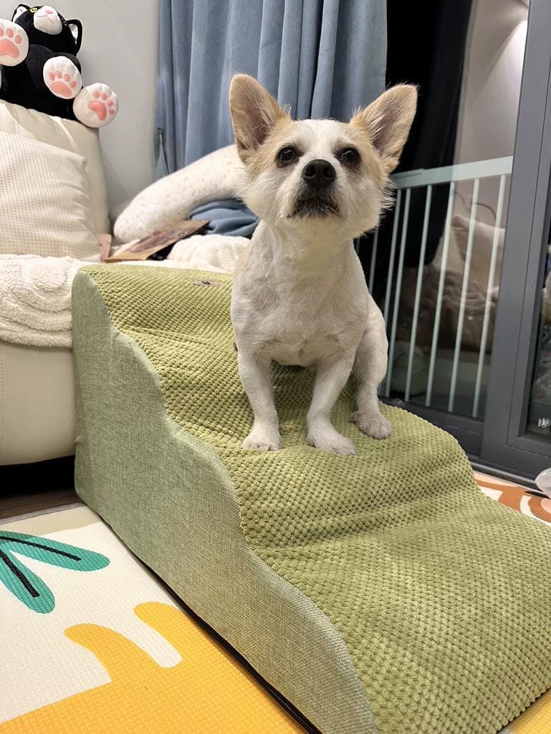 Customer photo review of Non-Slip Dog & Cat Stairs, 2-3 Steps for Pets, Easy Climb