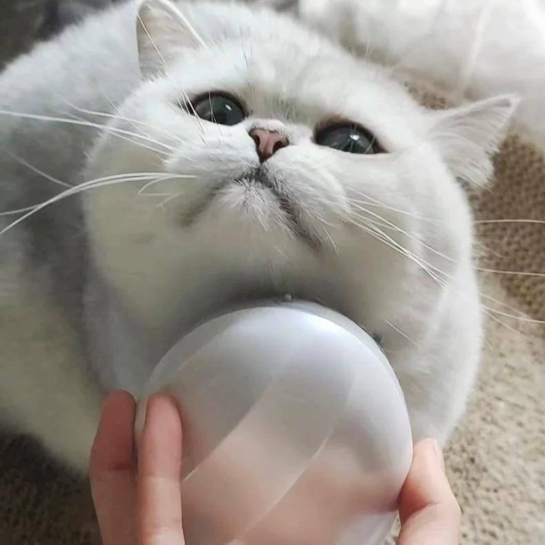Customer photo review of Viva Comfort Rotation Spa Relaxation Massager For Dogs and Cats