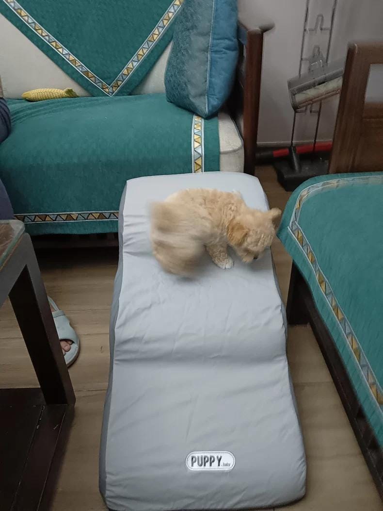 Customer photo review of Soft Chenille Dog Stairs with Non-Slip Ramp for Small Pets