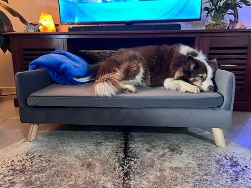 Customer photo review of PaWz Warm Soft Lounge Couch Chair Bed