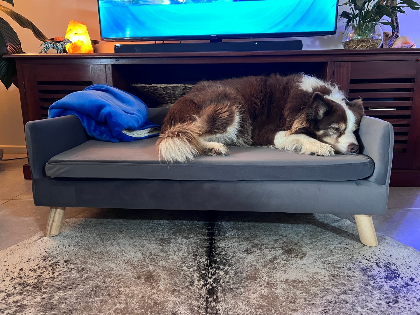 Customer photo review of PaWz Warm Soft Lounge Couch Chair Bed