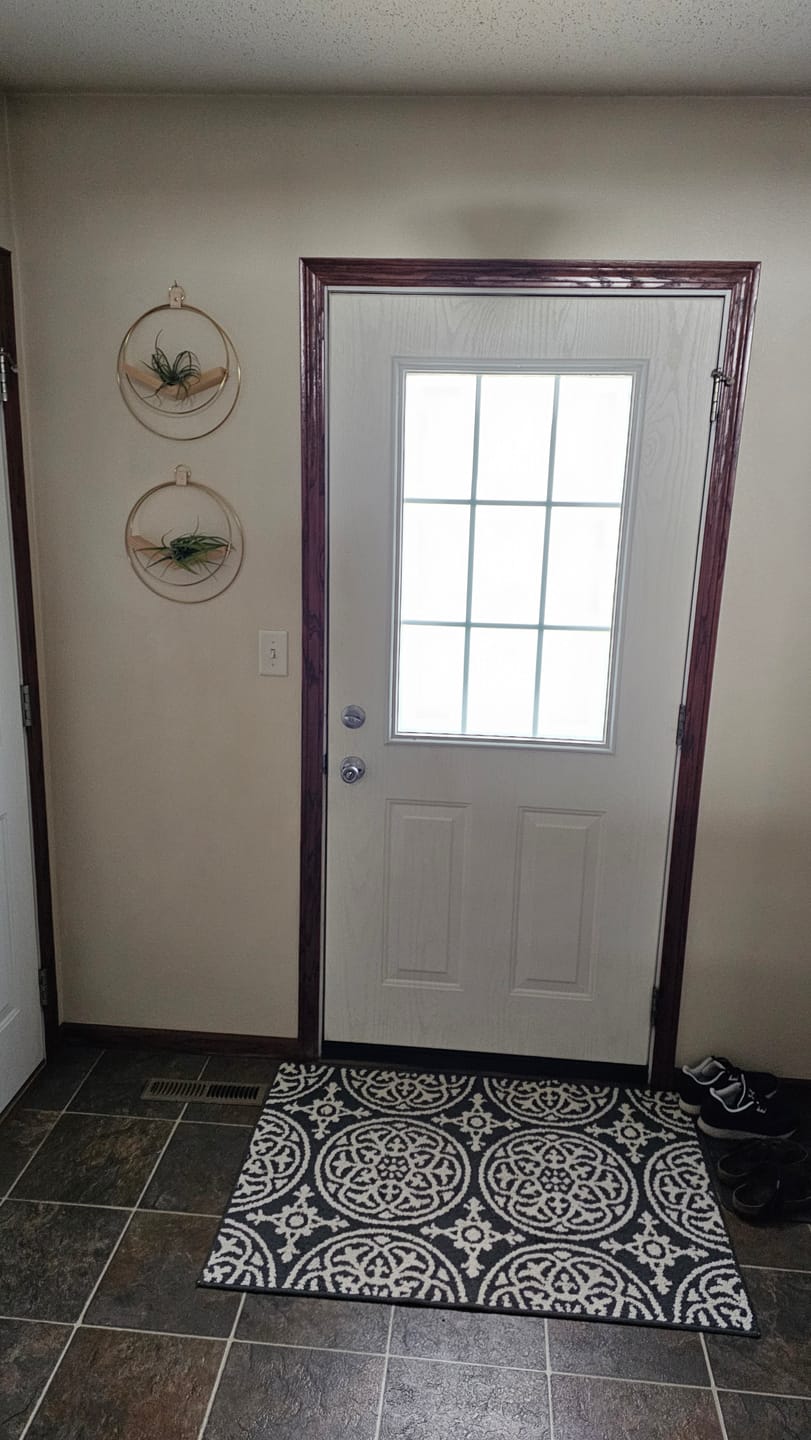 Customer photo review of Air Plant Hanger - Classic Duo