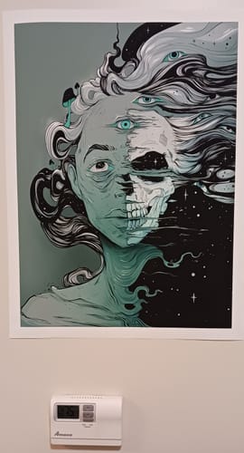 Customer photo review of Memento Mori, Matte Art Print Poster