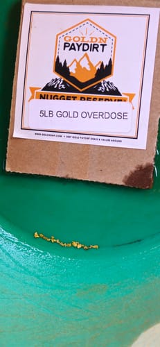 Customer photo review of Nugget Reserve '5LB GOLD OVERDOSE' - Gold Paydirt