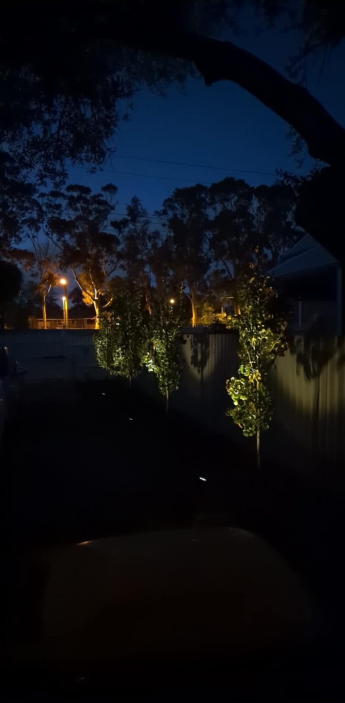 Customer photo review of Solar Ground Spotlights