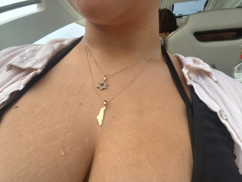 Customer photo review of Israel Map Necklace