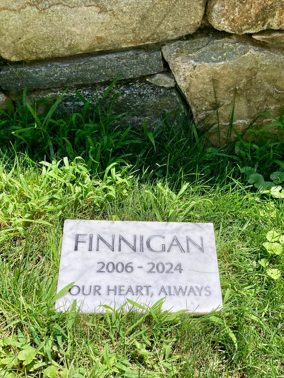 Customer photo review of Marble Marker, Pet headstones, Custom Outdoor Engraved In Loving Memory