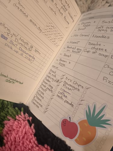 Customer photo review of Fast Brain Daily Productivity Planner- Single Notebook