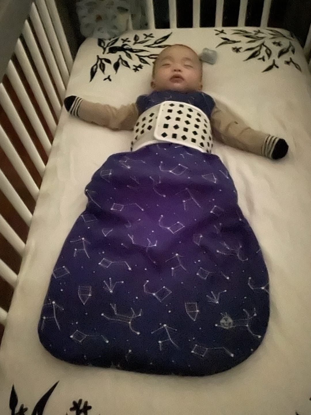 Customer photo review of 4 Season® Classic Baby Sleeping Bag, Merino Wool & Organic Cotton, Night Sky™
