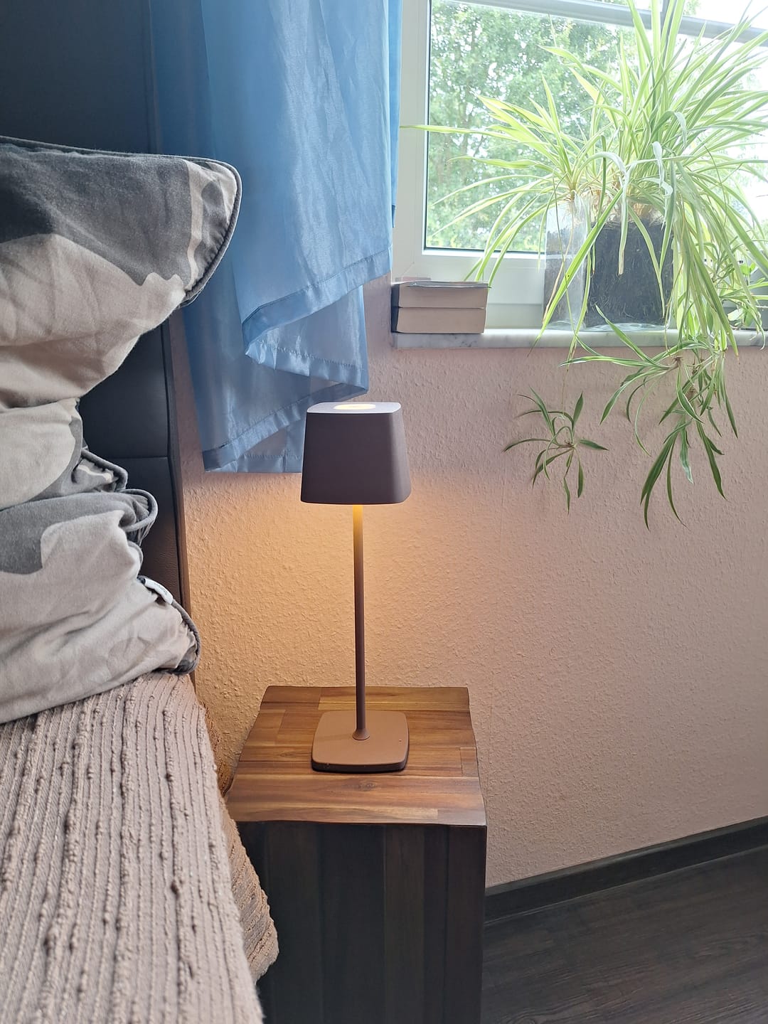 Customer photo review of Tap-light® - Elo