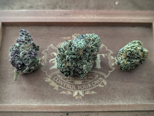 Customer photo review of Wyte Flower Essential Flower Bundle