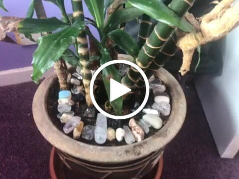 Customer video review of Shungite Point Pair