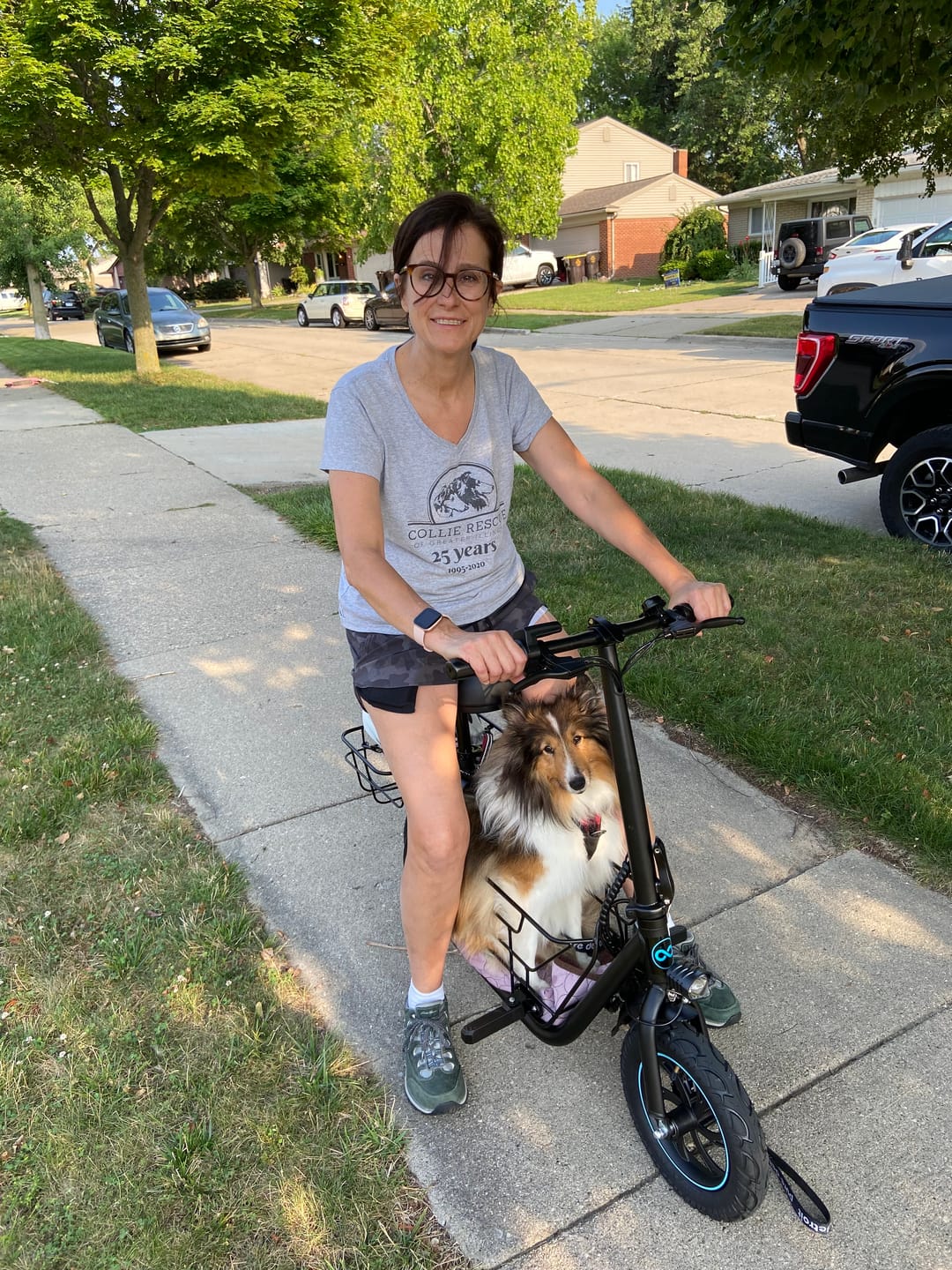 Customer photo review of Pet Cushion for C1S Pet Travel Electric Scooter (Set of 2) (Pre-order)