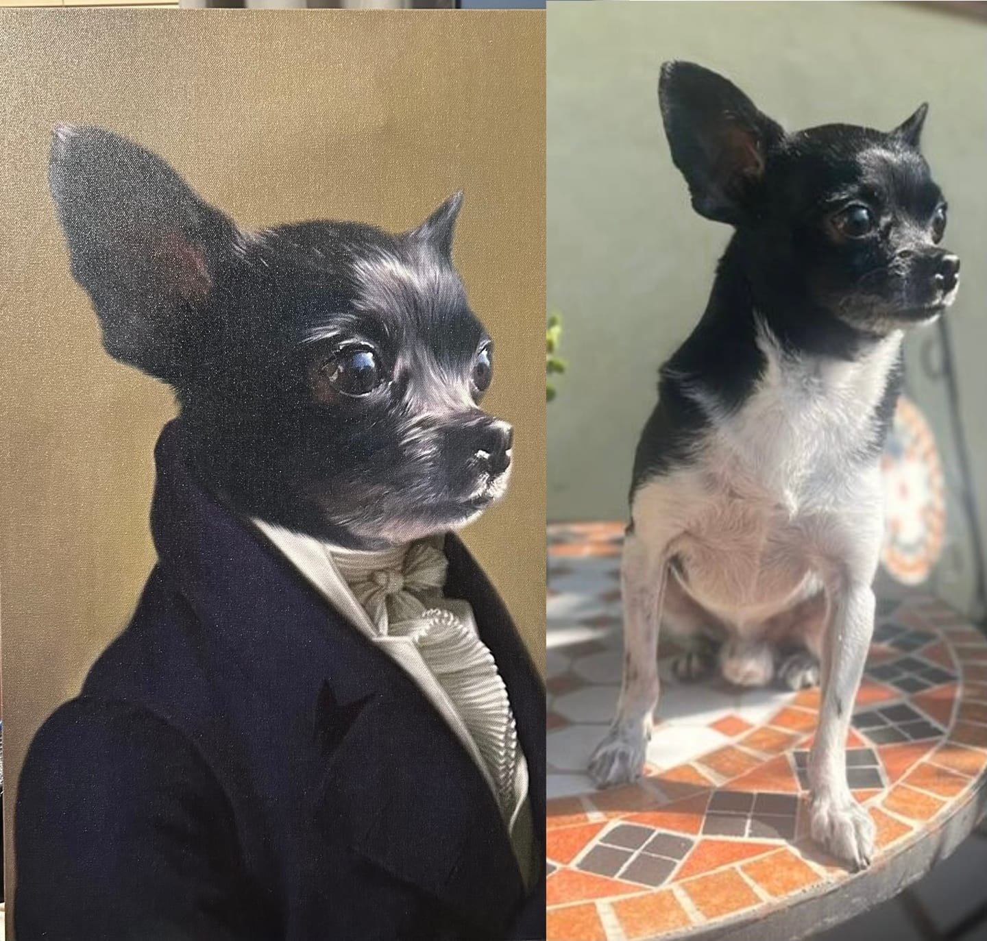 Customer photo review of Le Député