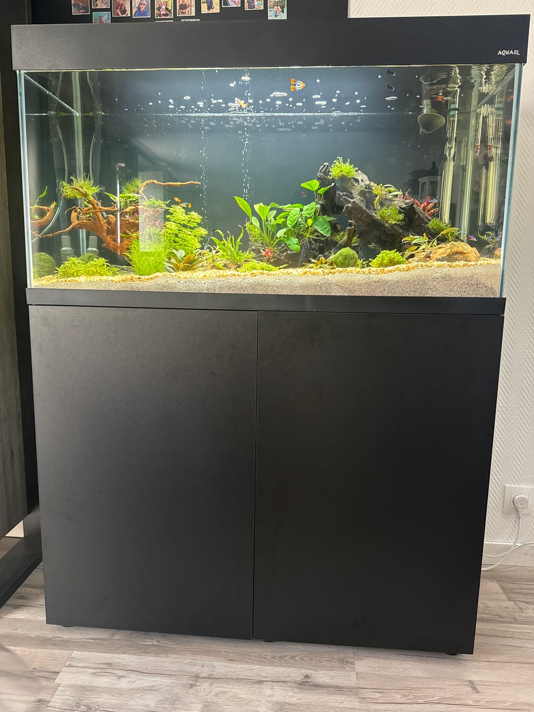 Customer photo review of Aquarium Opti Set 200 Noir AQUAEL - 200L