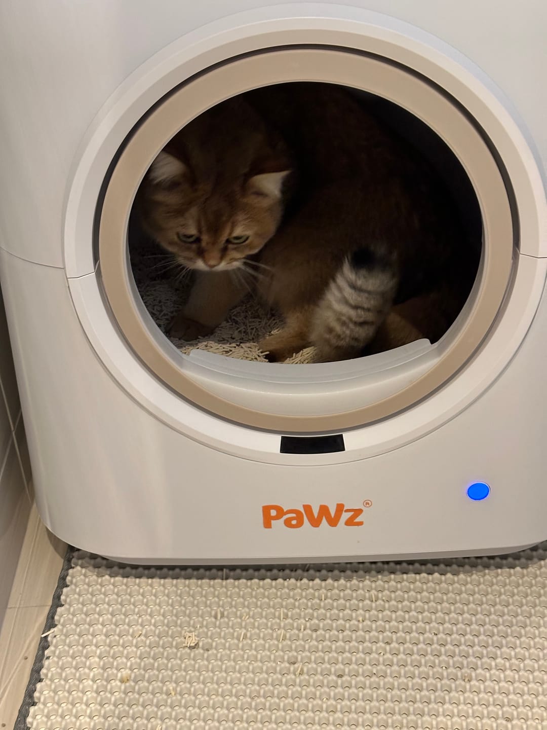 Customer photo review of Pawz Smart Cat Litter Box Automatic Self Cleaning with App Remote Control