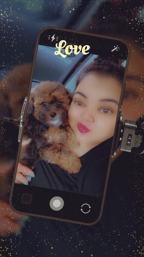 Customer photo review of Royal Tan