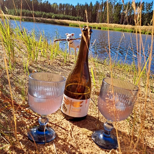 Customer photo review of Rabarberu dzirkstvīns