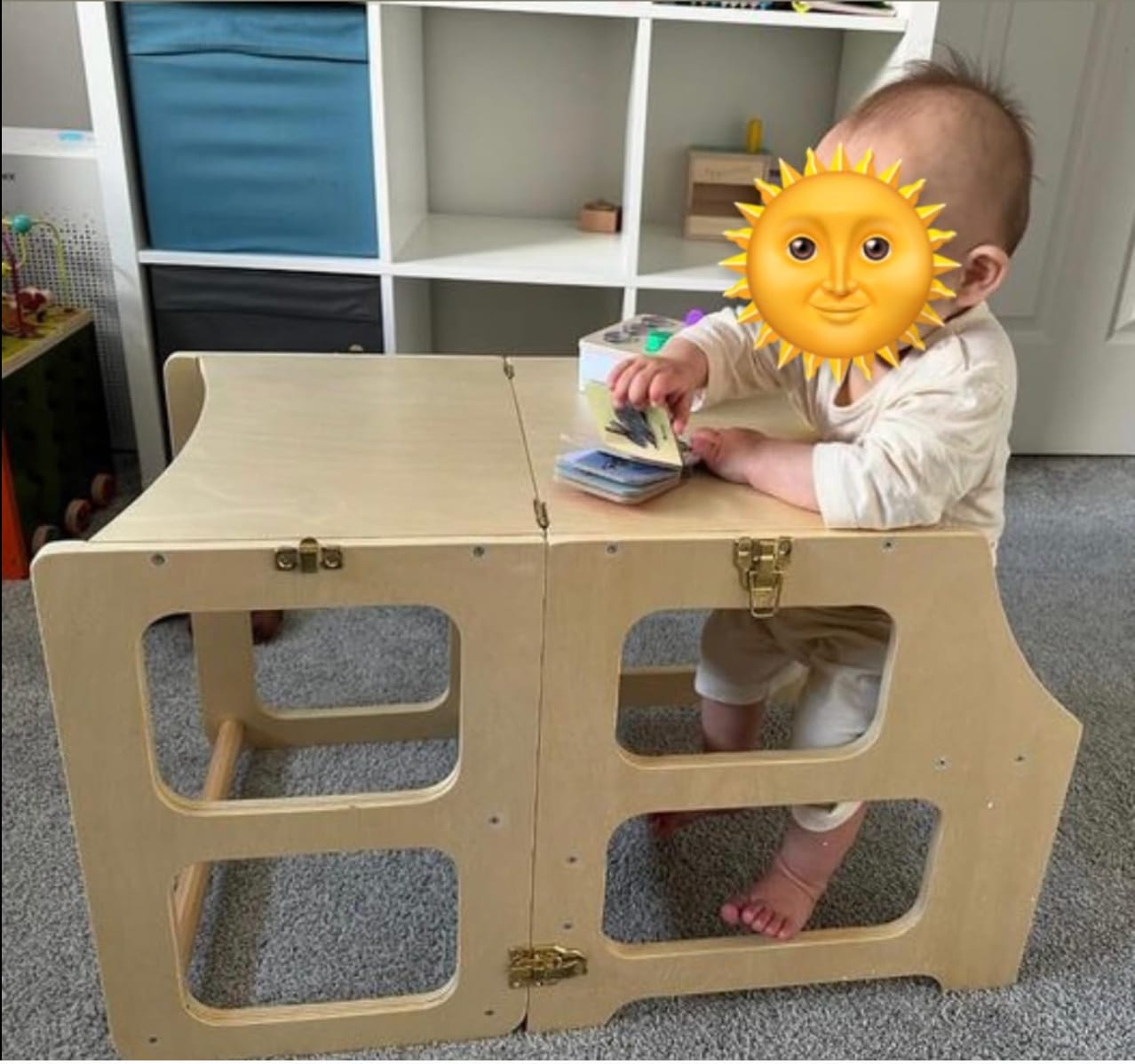 Customer photo review of Little Helper Convertible