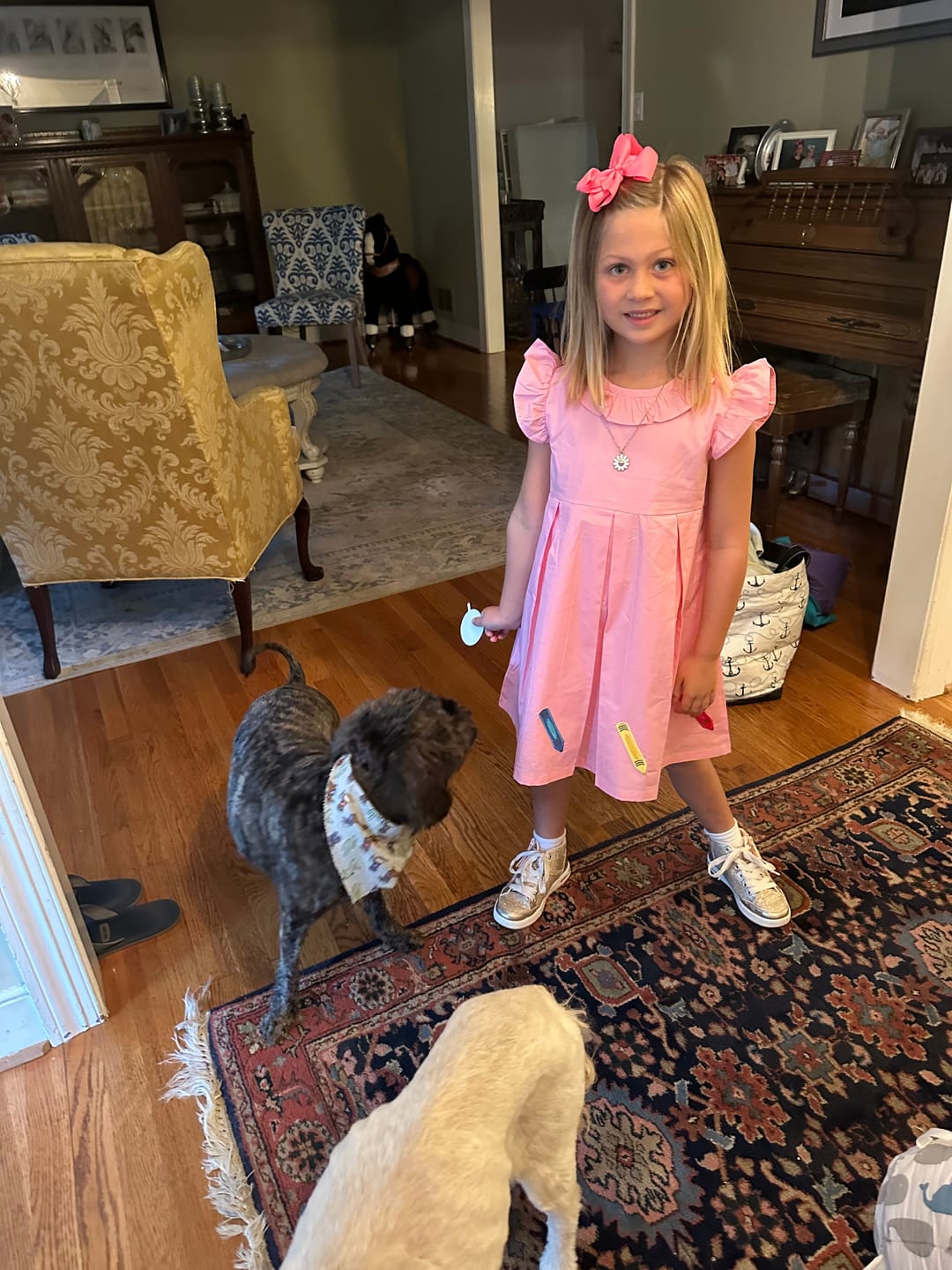 Customer photo review of Colorful Crayons Pink Gingham Chloe Dress