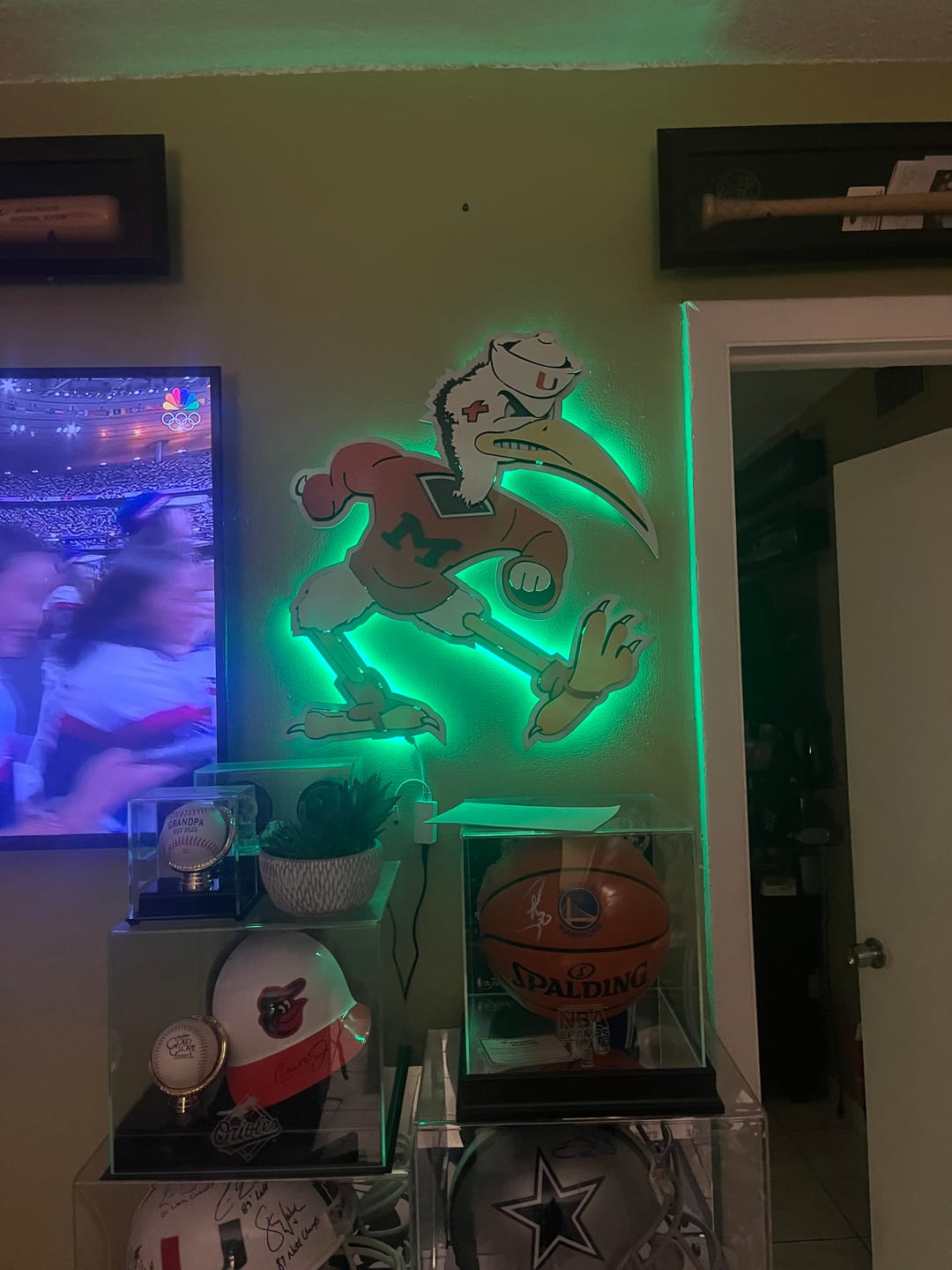 Customer photo review of Miami Hurricanes "Sebastian the Ibis" 3D Vintage Metal Wall Art