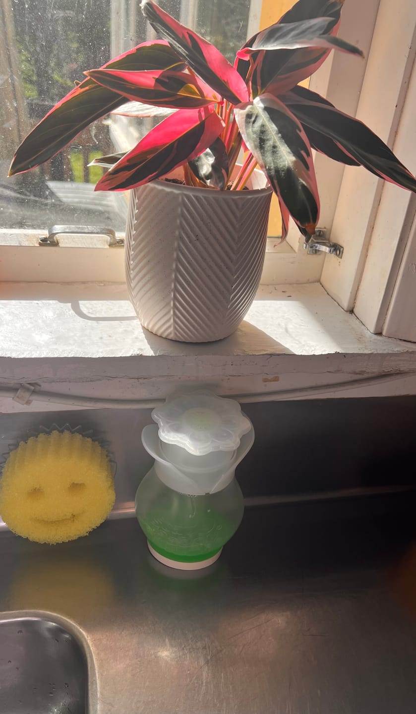 Customer photo review of Soap Daddy