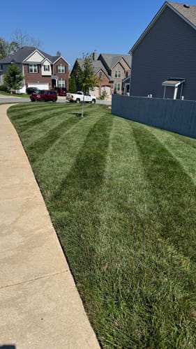 Customer photo review of GCI Turf Fe (Iron) 0-0-0