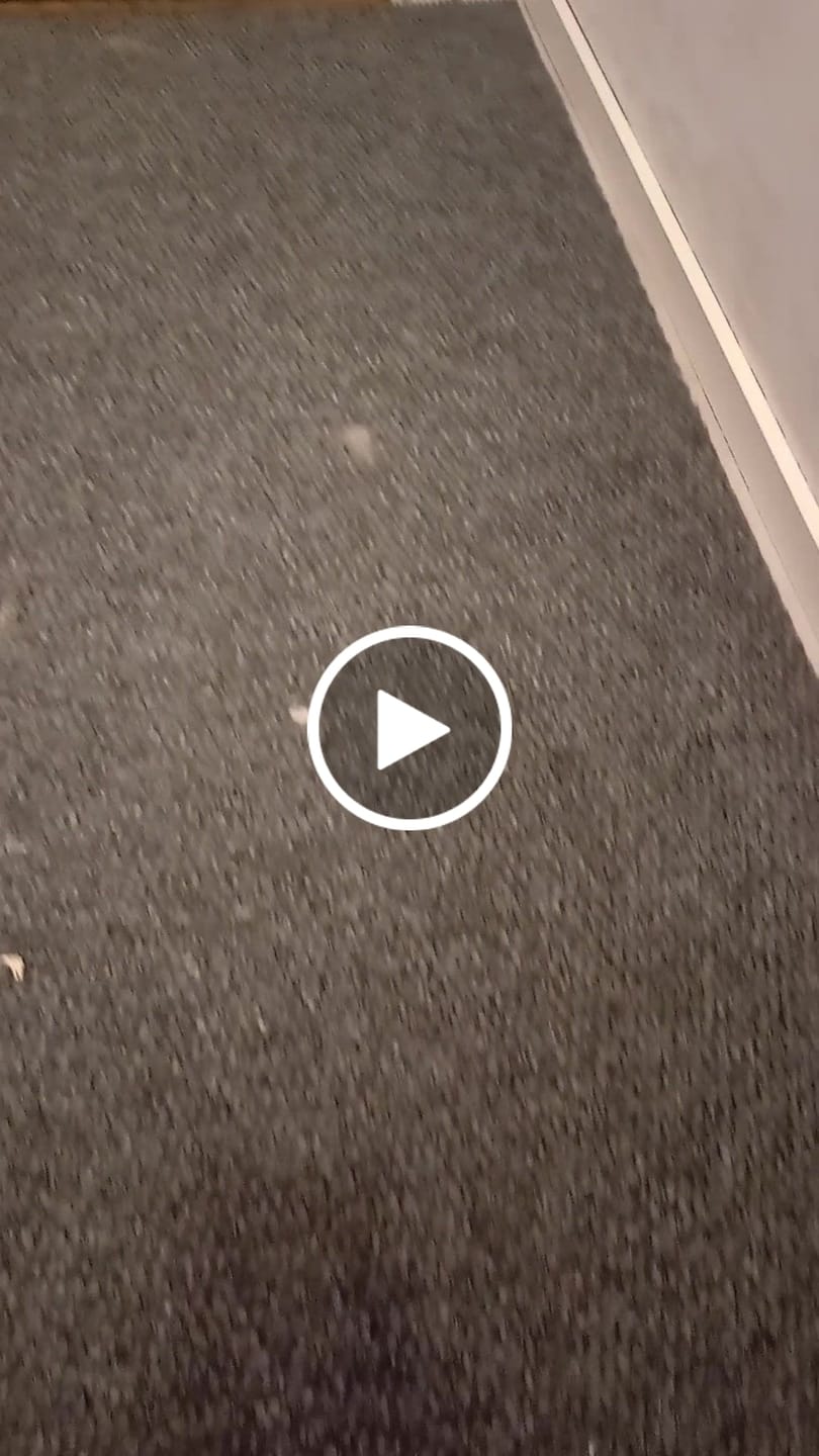 Customer video review of Paris kuramatto, mittojesi mukaan leikattu
