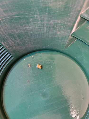 Customer photo review of *BOGO* Goldn Paydirt '$5,000 Nugget Giveaway' - Gold Panning Paydirt Concentrate