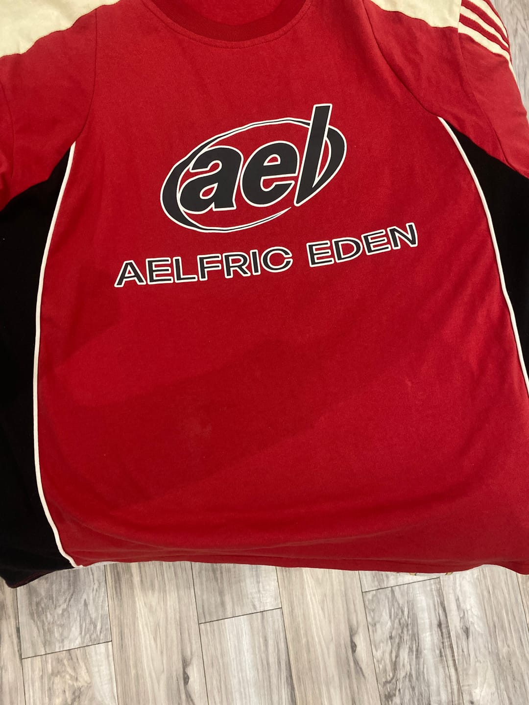 Customer photo review of Aelfric Eden Color Block Speedway Tee