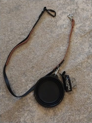 Customer photo review of Biothane Traffic Handle Dog Leash